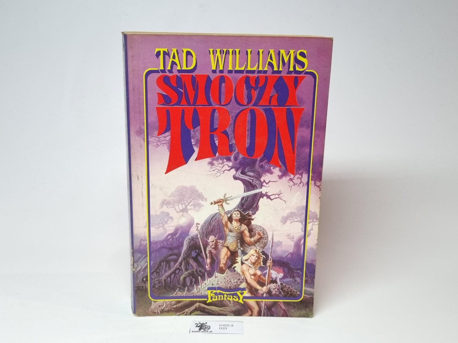 Tad Williams smoczy tron