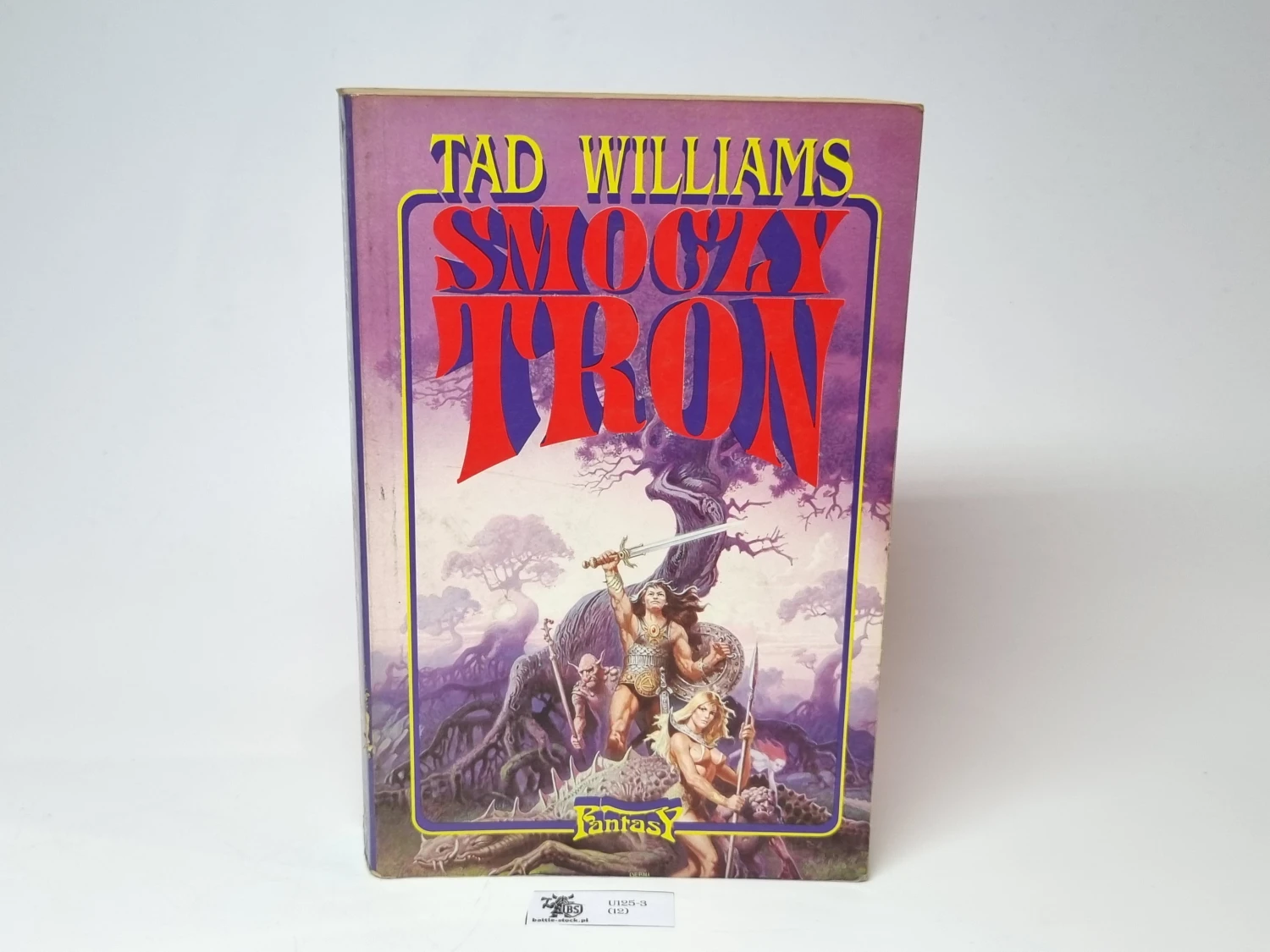 Tad Williams smoczy tron