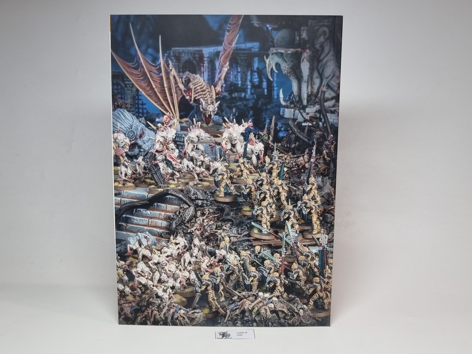 magazyn white dwarf nr 460