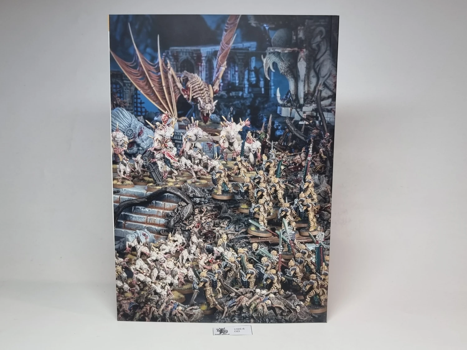 magazyn white dwarf nr 460