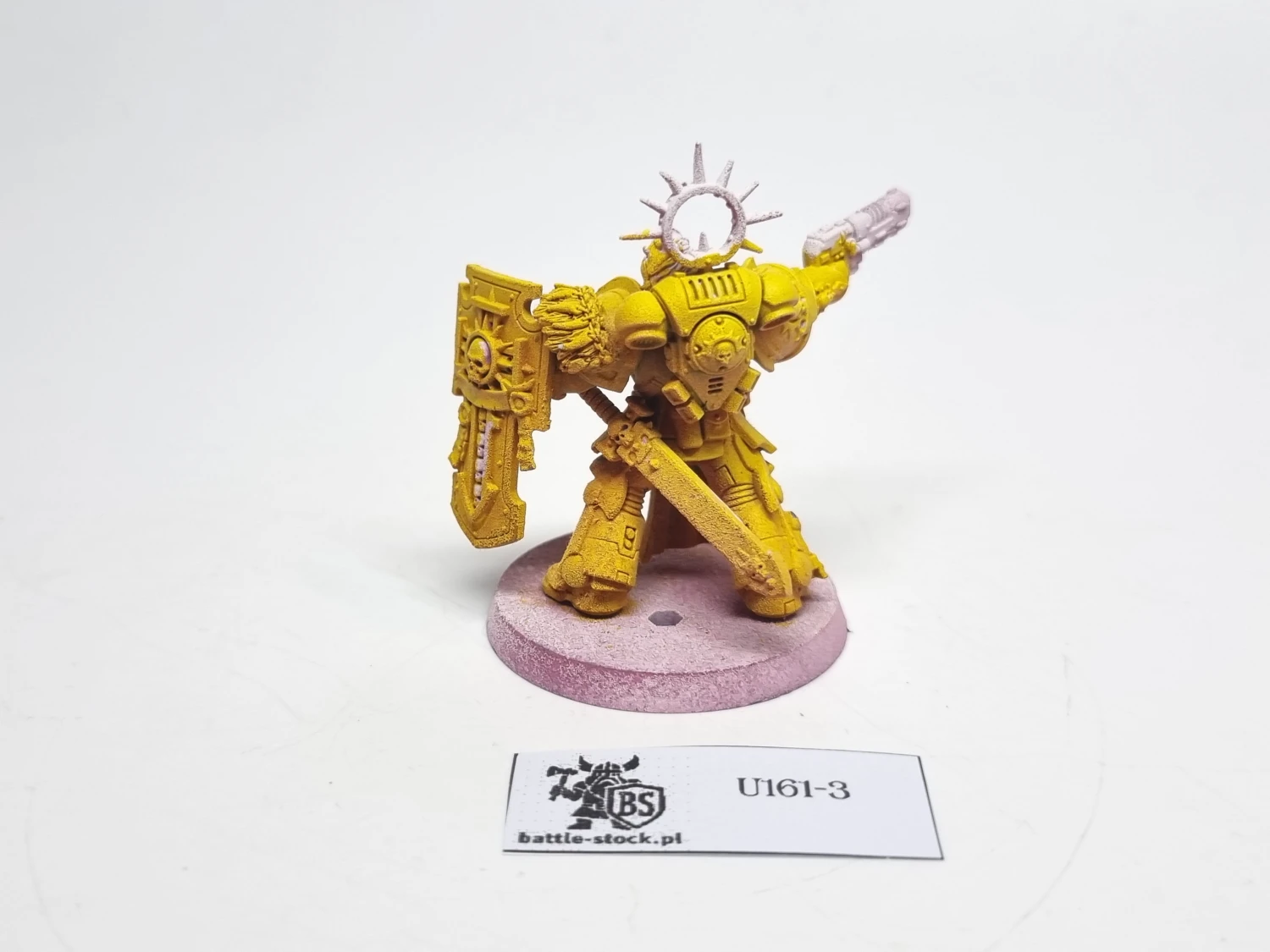 captain with storm shield