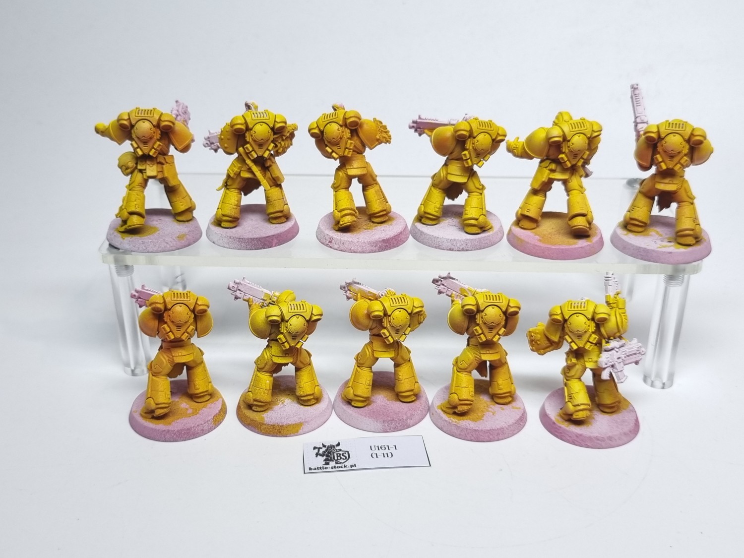 Primaris intercessors