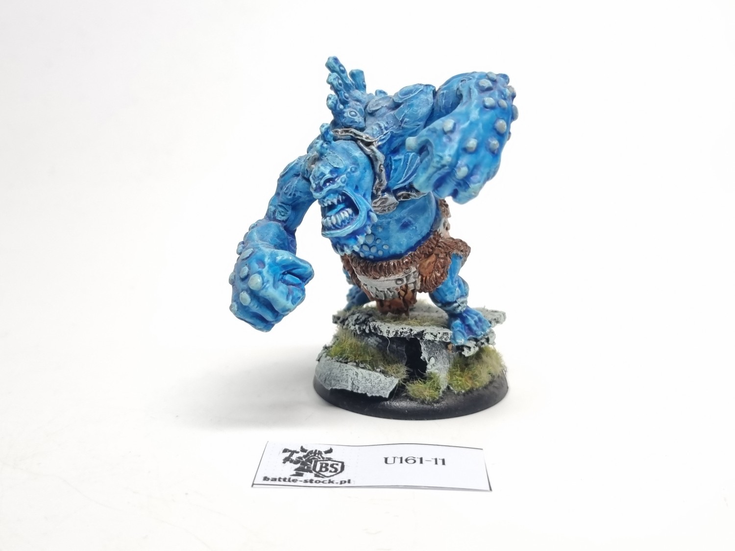 Storm Troll