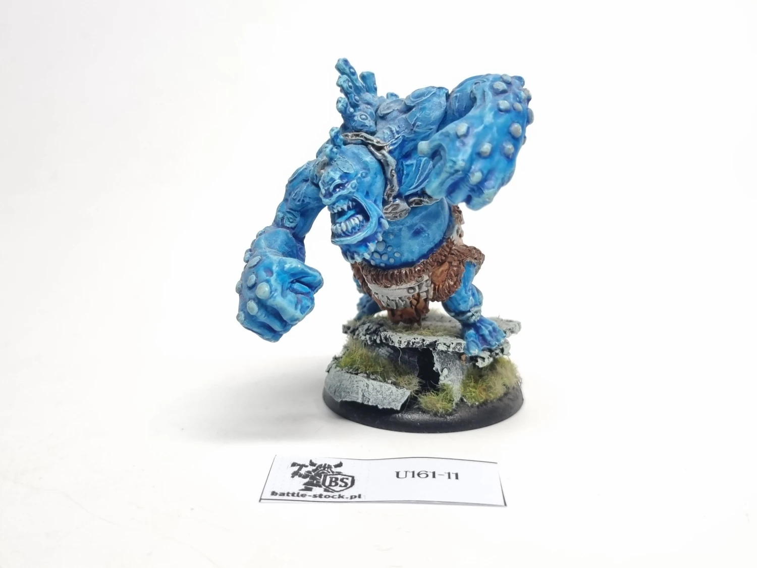 Storm Troll