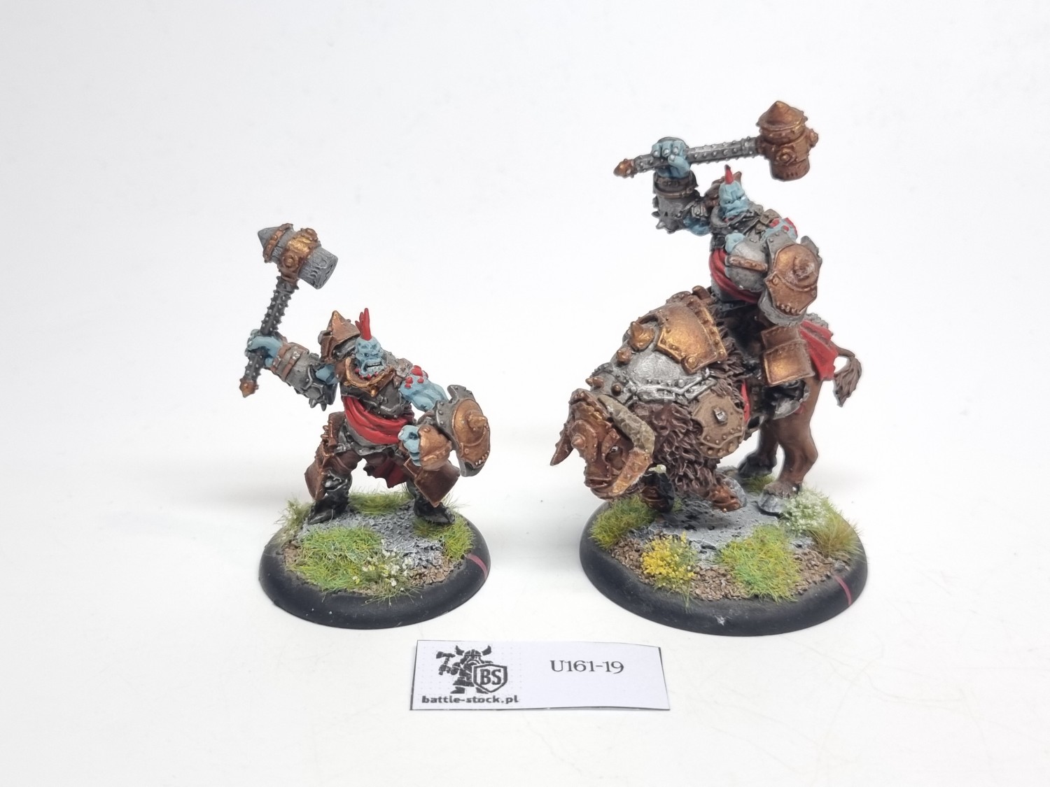 Horthol, Long Rider Champion