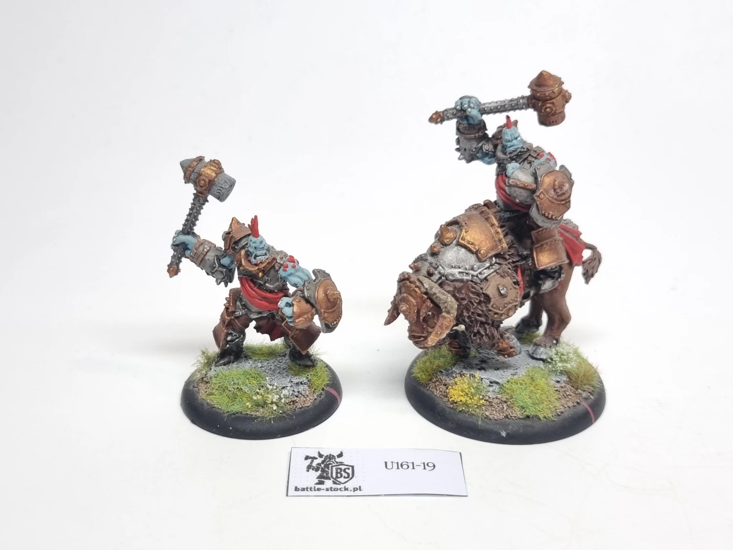 Horthol, Long Rider Champion