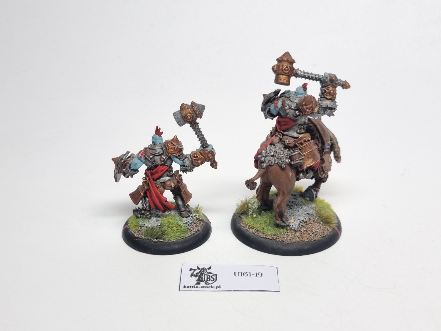 Horthol, Long Rider Champion