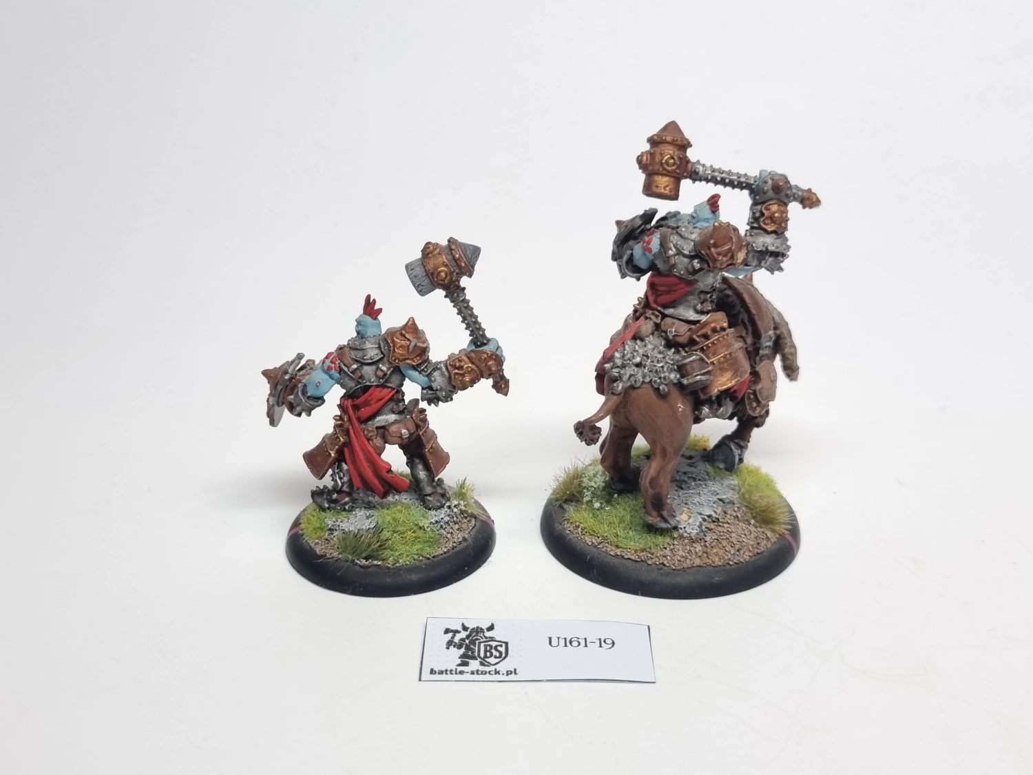 Horthol, Long Rider Champion