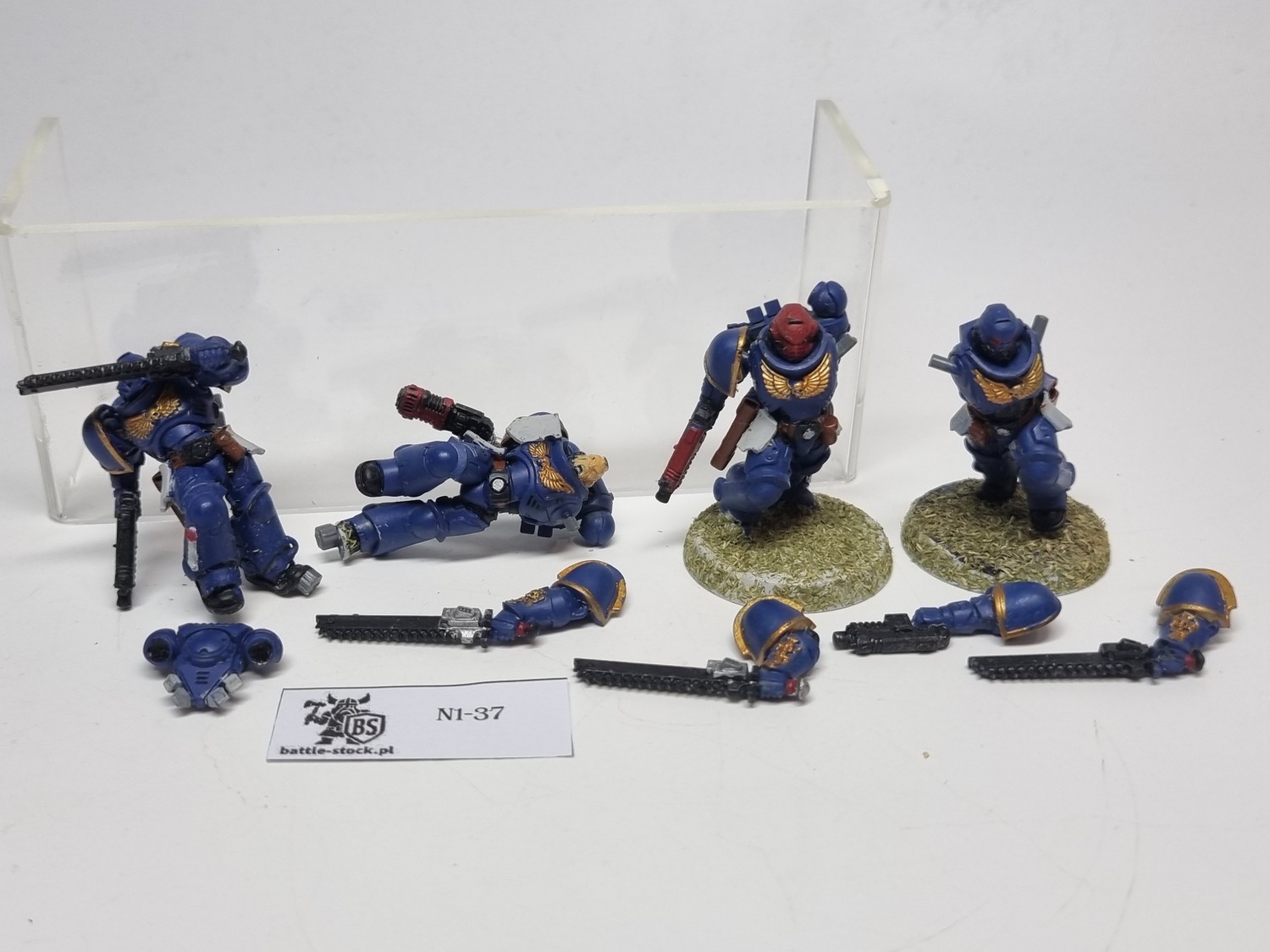 SM Primaris assault intercessor