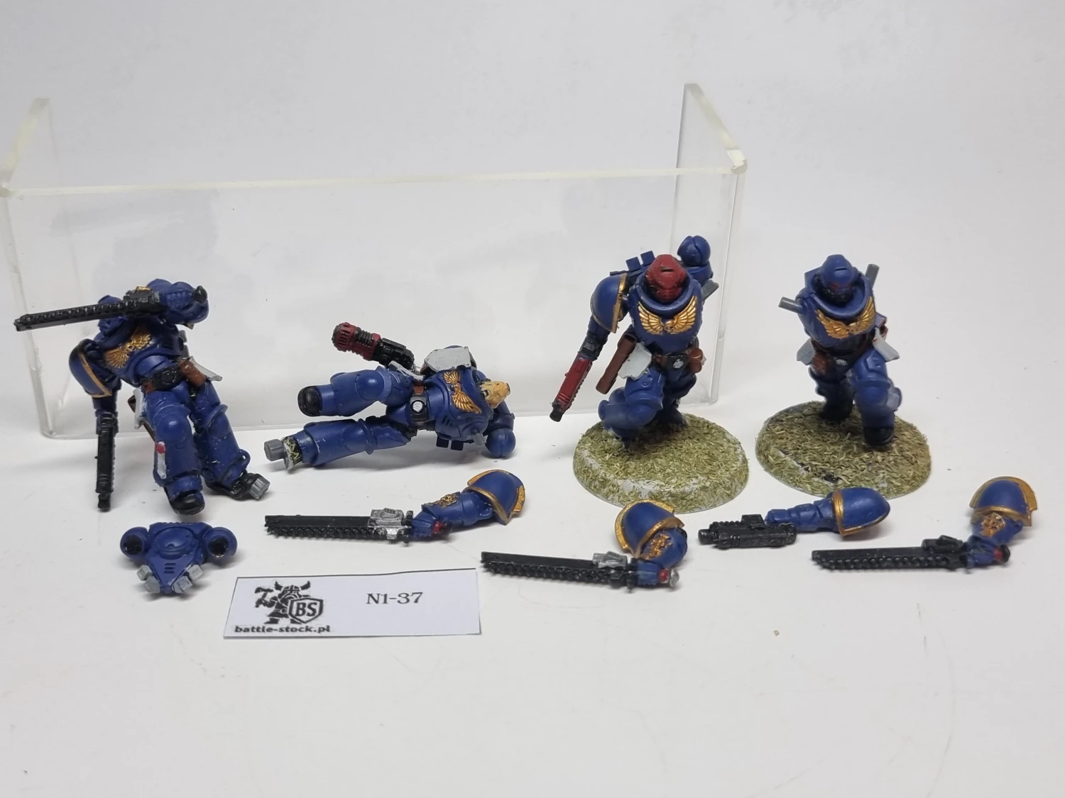 SM Primaris assault intercessor