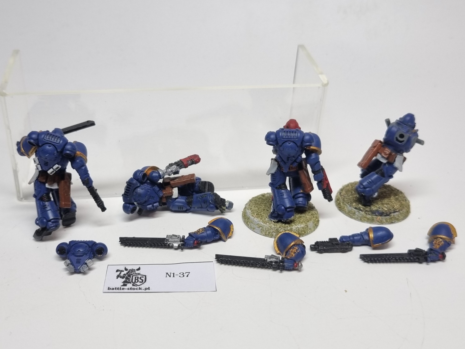 SM Primaris assault intercessor