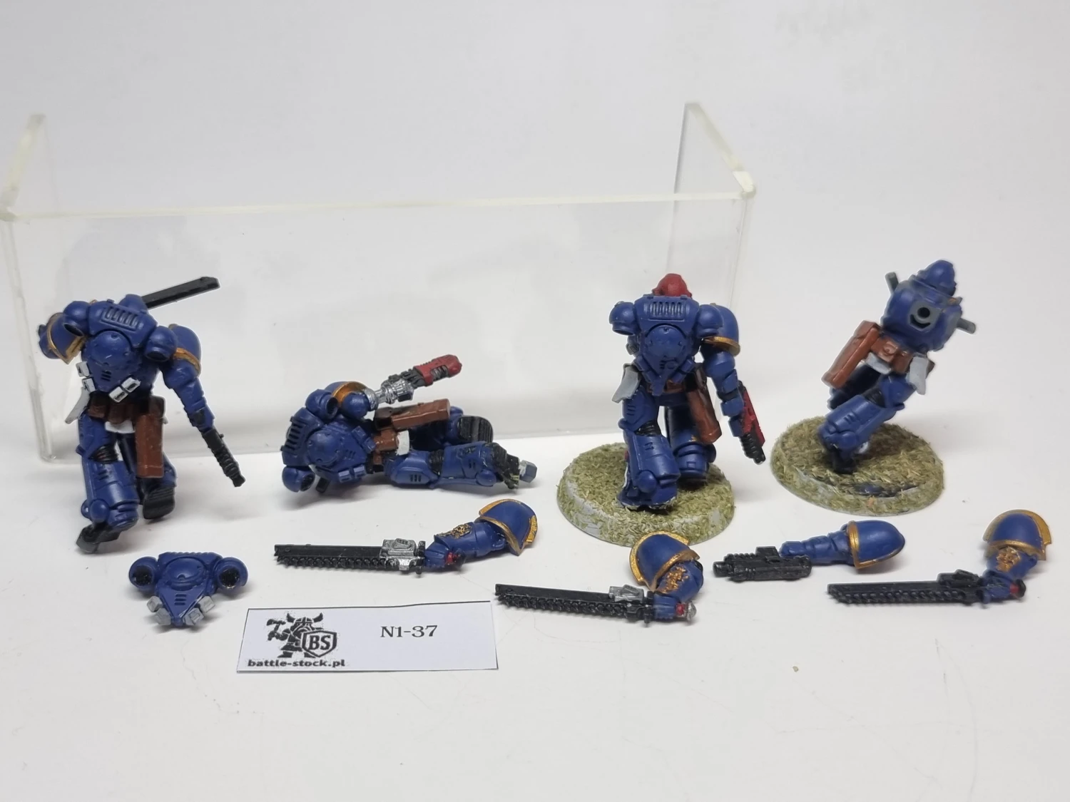 SM Primaris assault intercessor