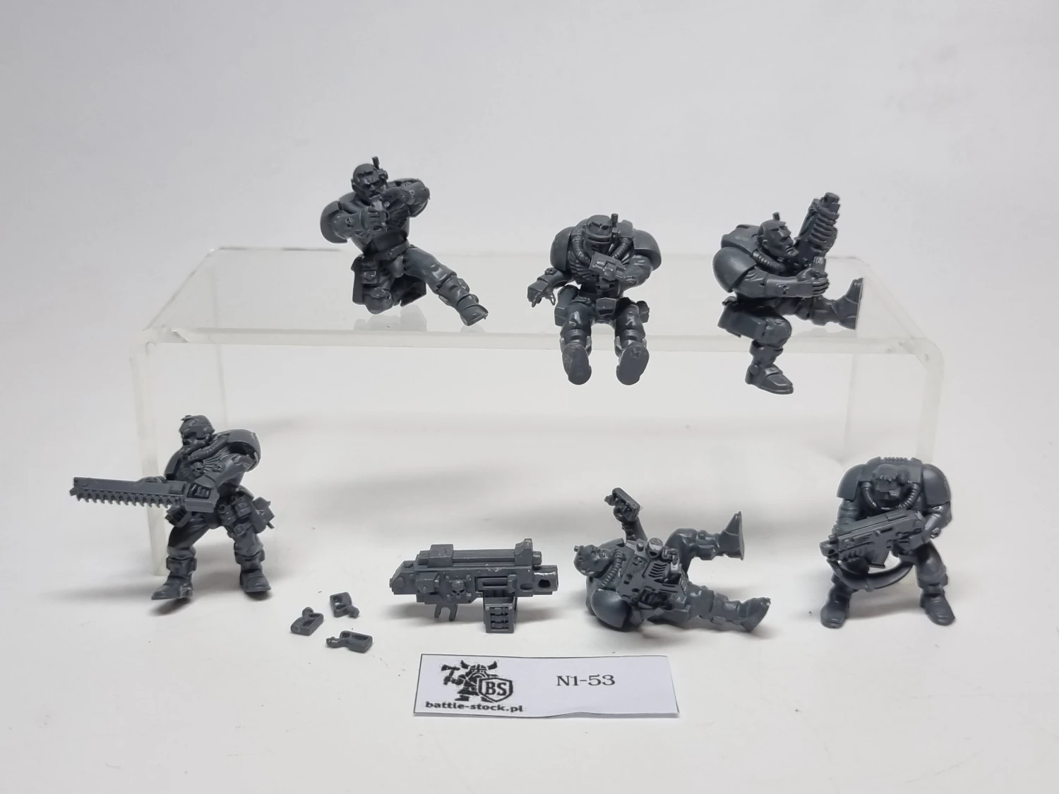 SM scouts
