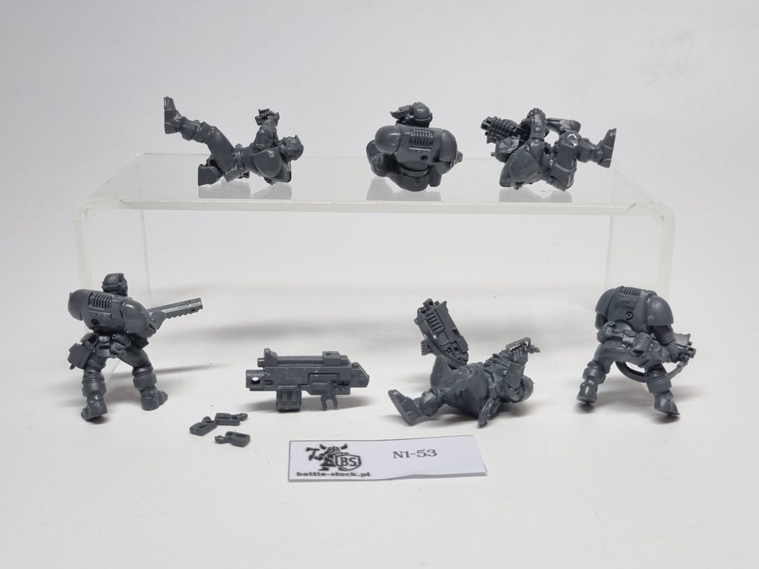 SM scouts