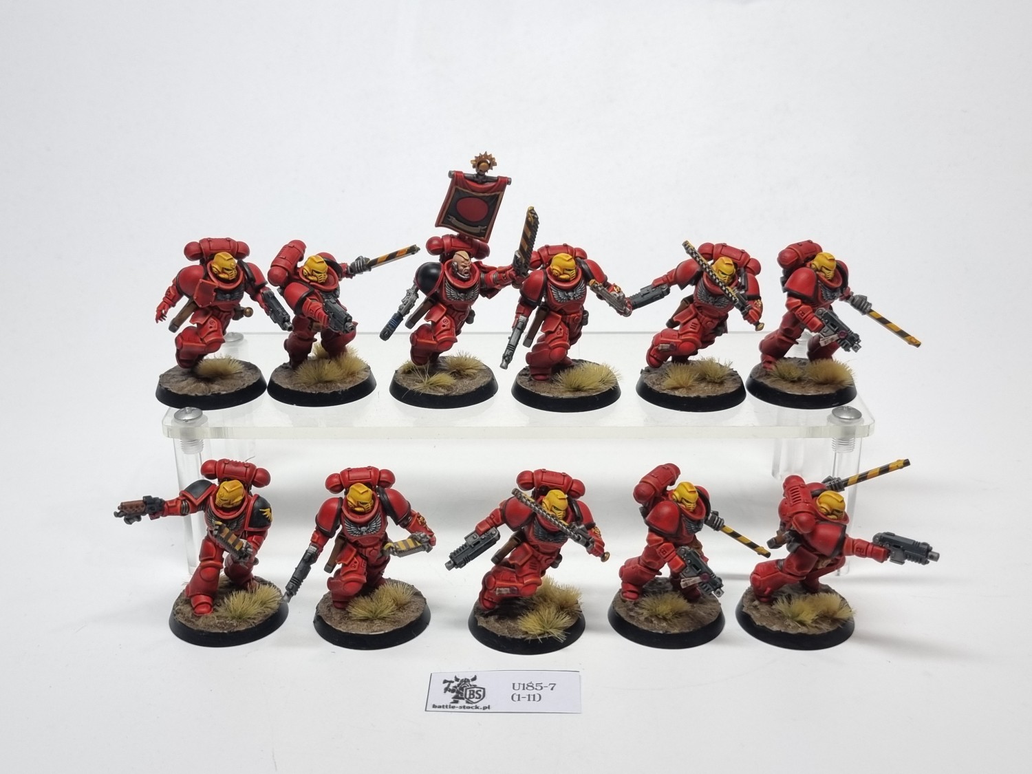 primaris assault
