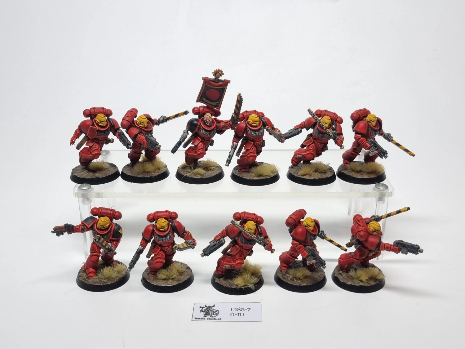 primaris assault