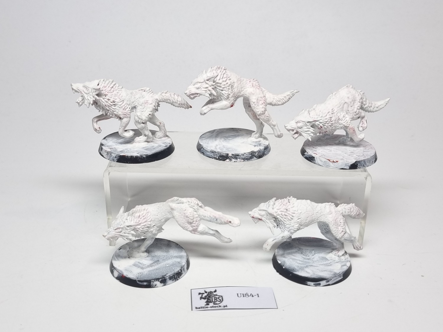 40k fenrisian wolves zestaw