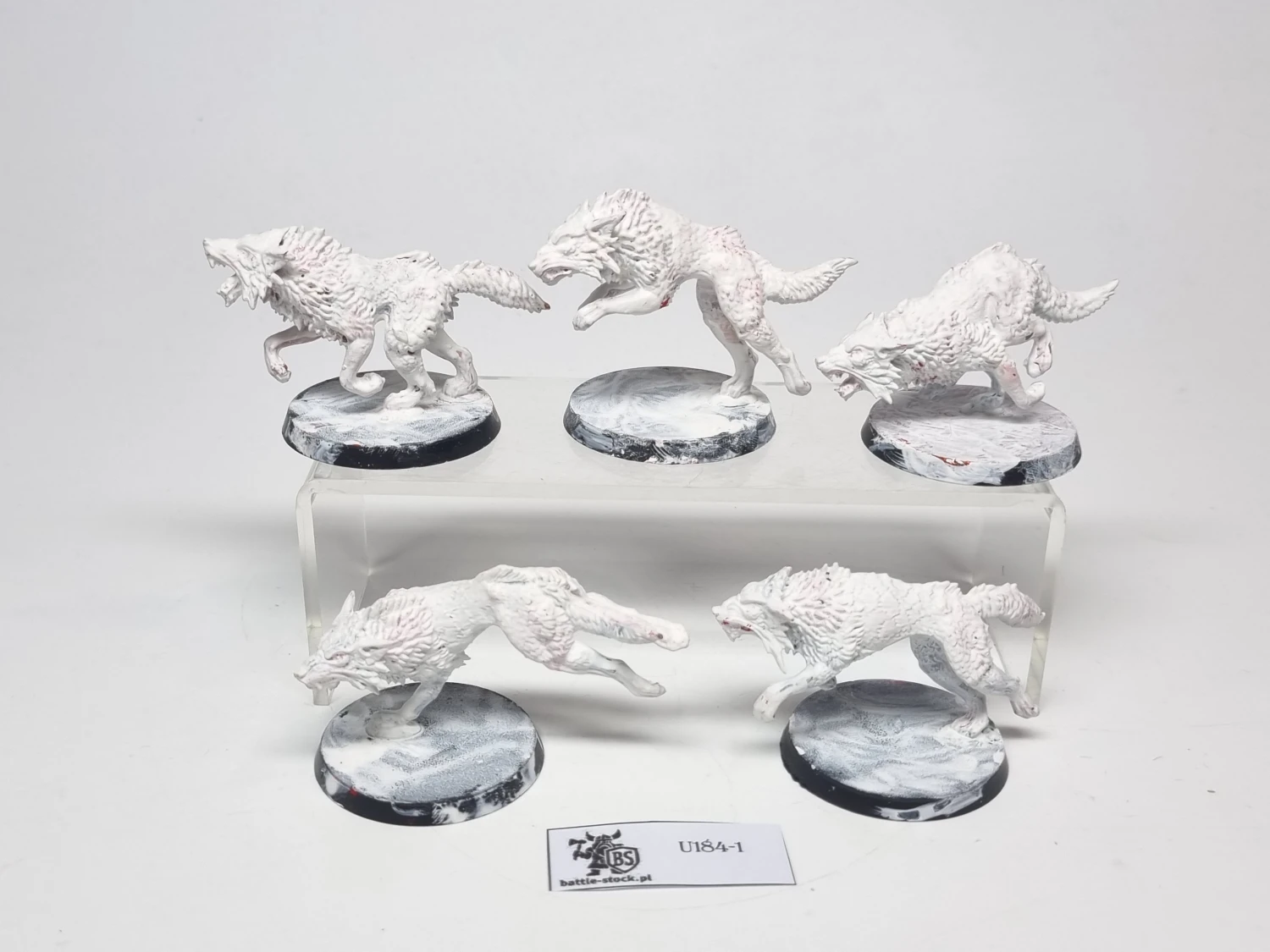 40k fenrisian wolves zestaw