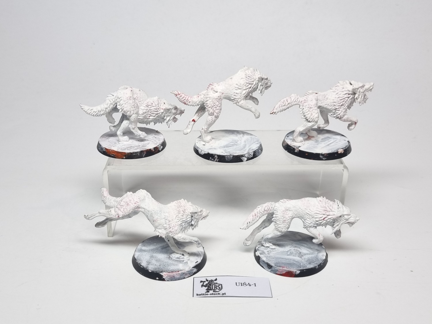 40k fenrisian wolves zestaw