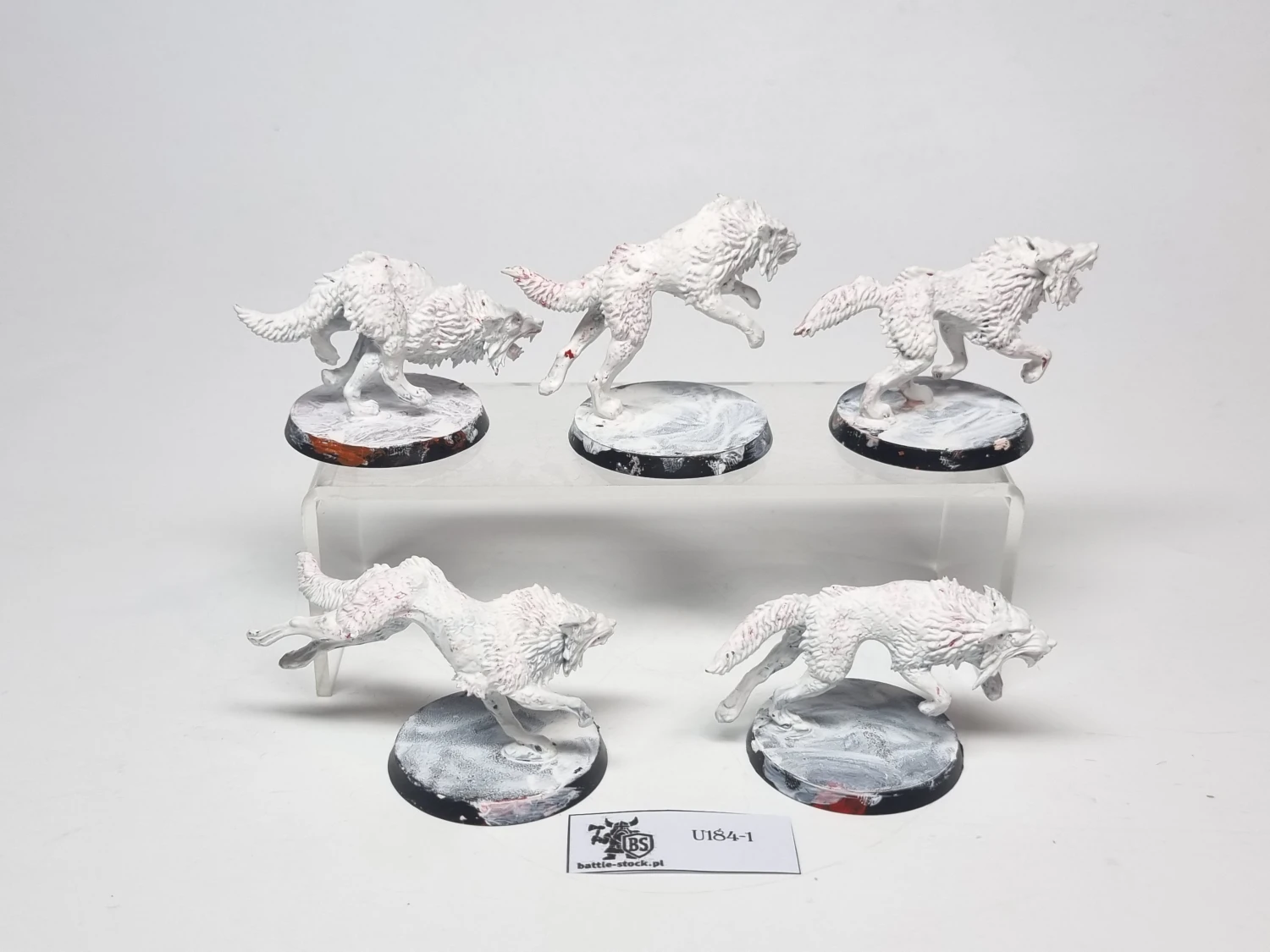 40k fenrisian wolves zestaw