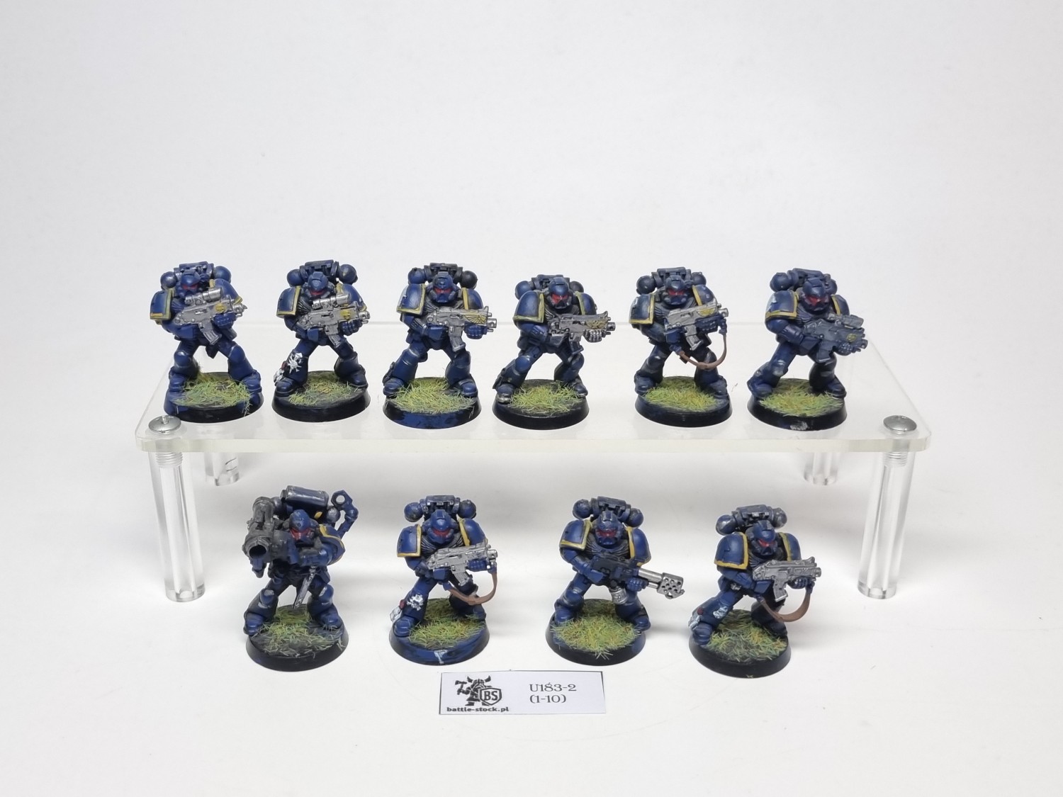 tacticals squad