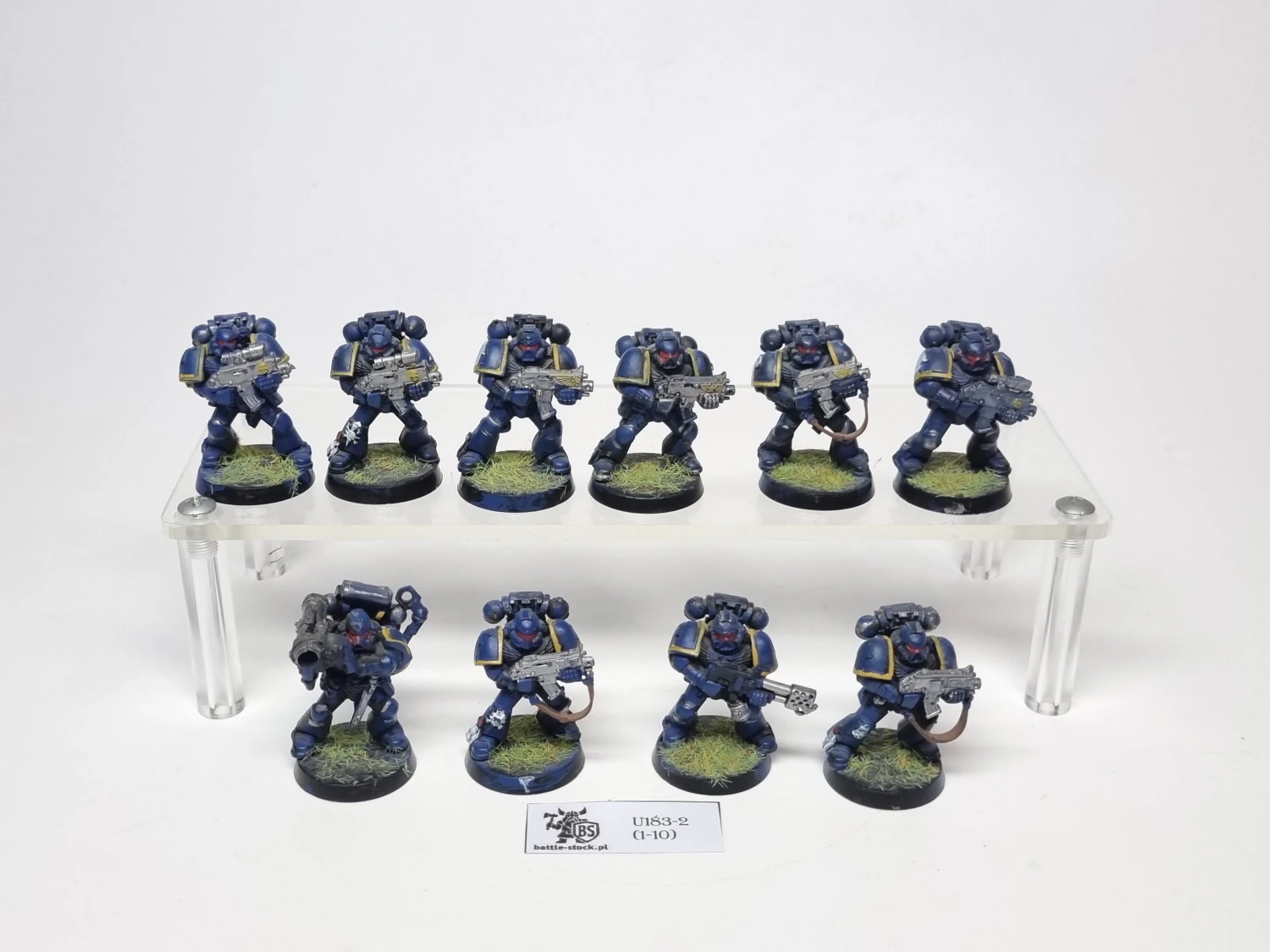tacticals squad