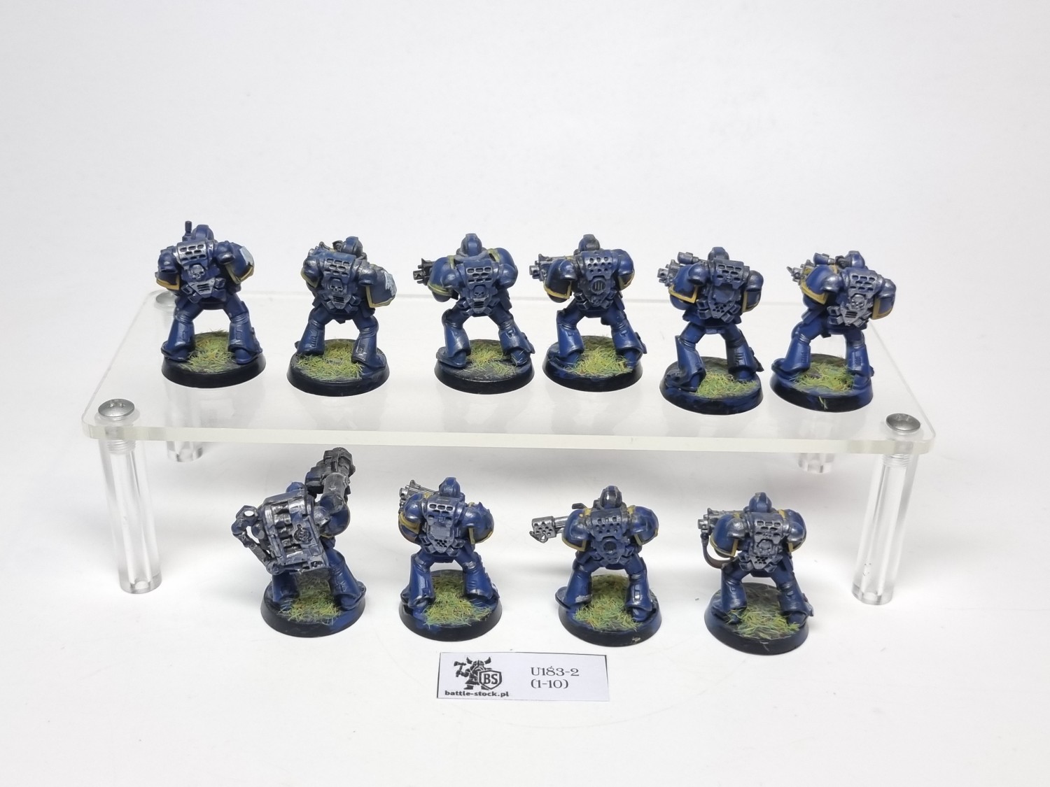 tacticals squad