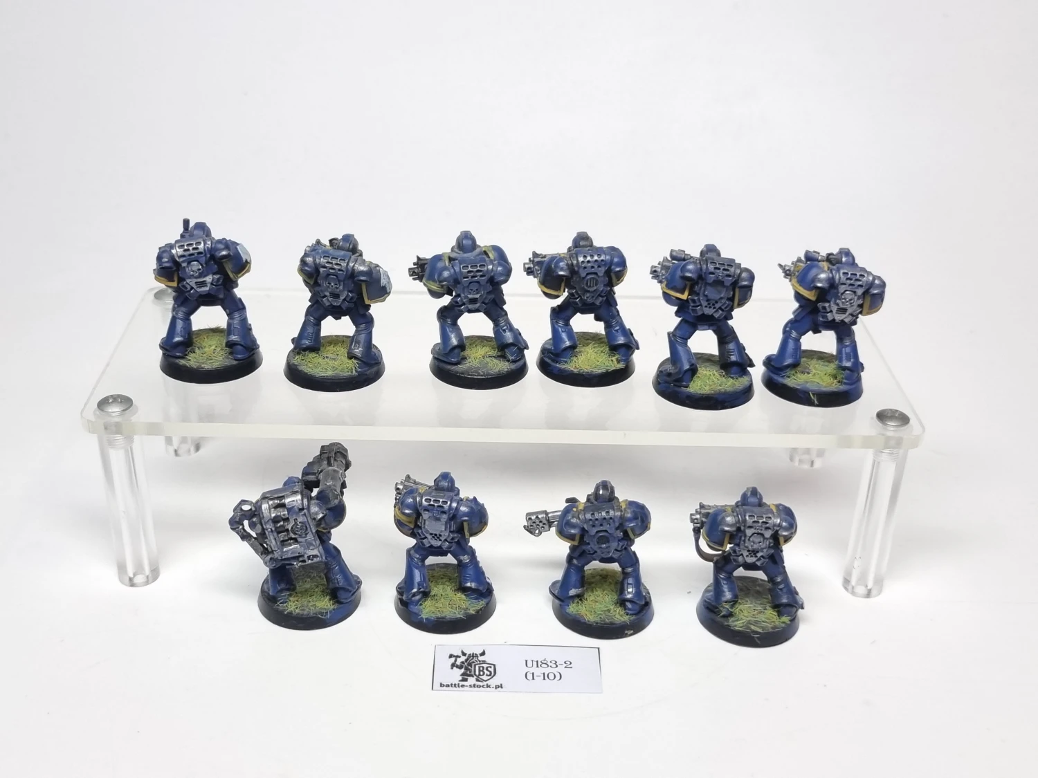 tacticals squad