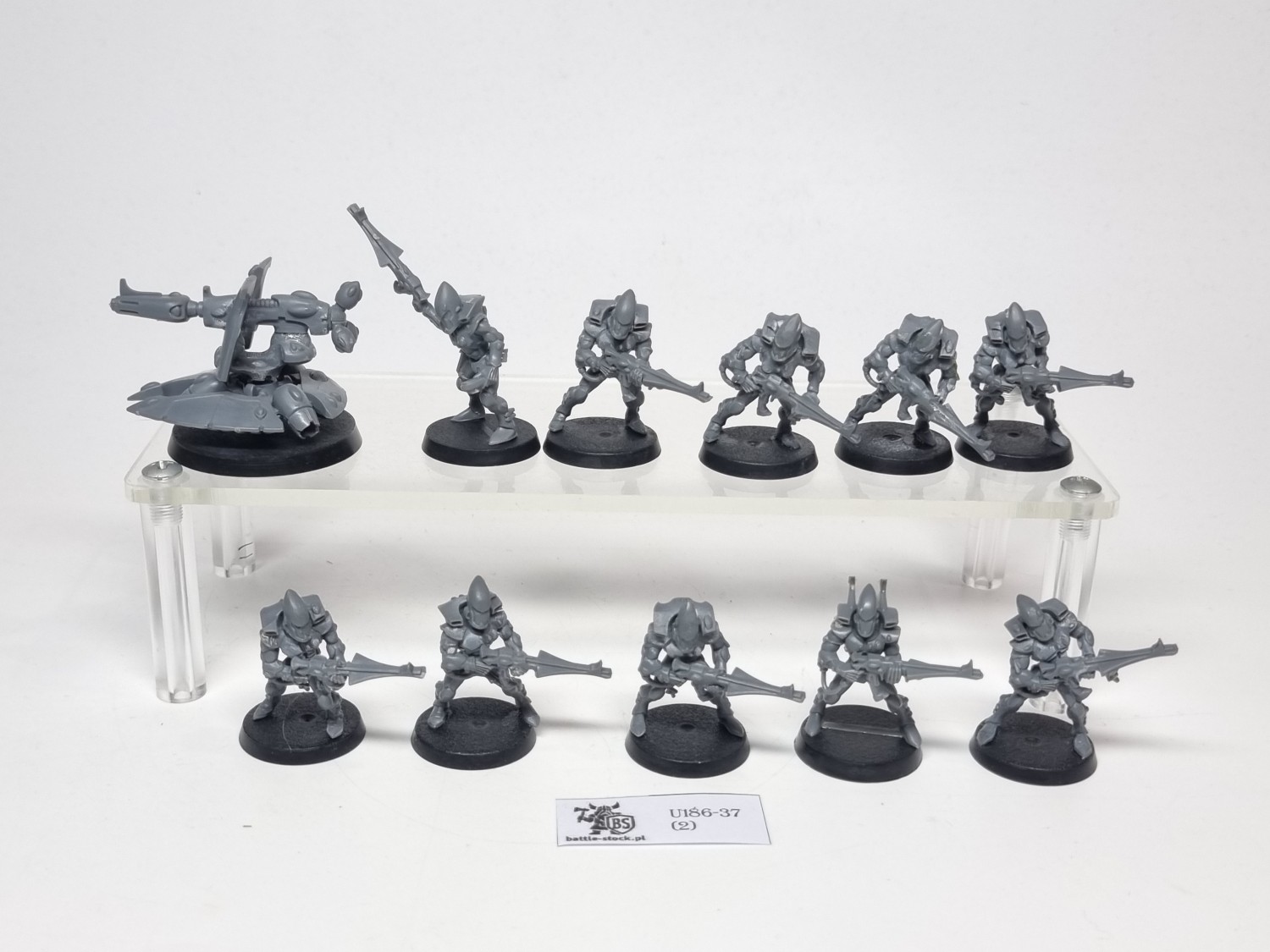 eldar/ aeldari guardians squad