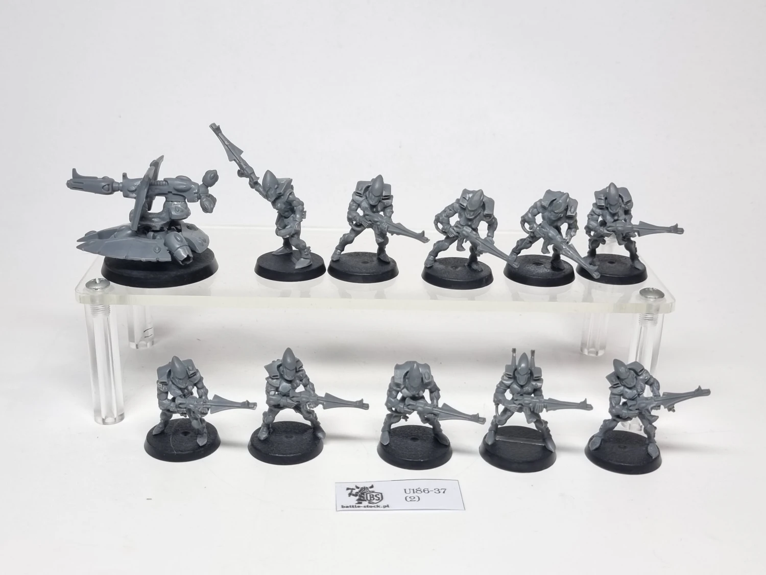 eldar/ aeldari guardians squad