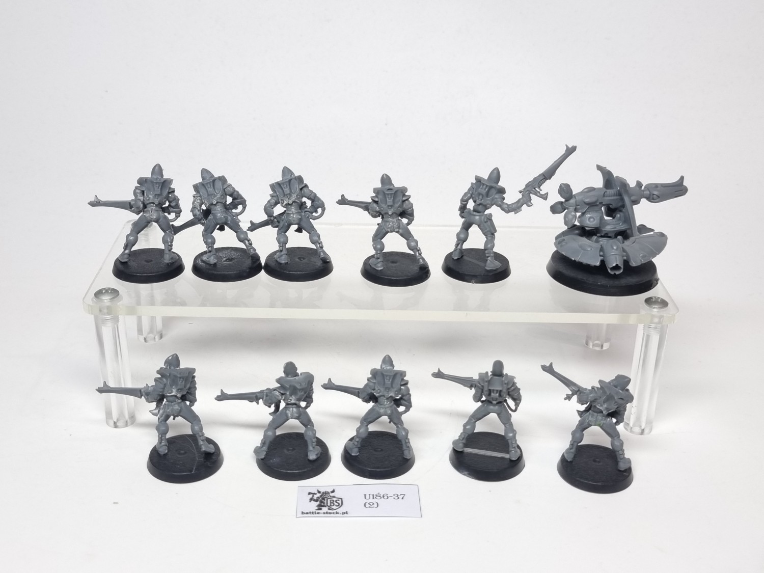 eldar/ aeldari guardians squad