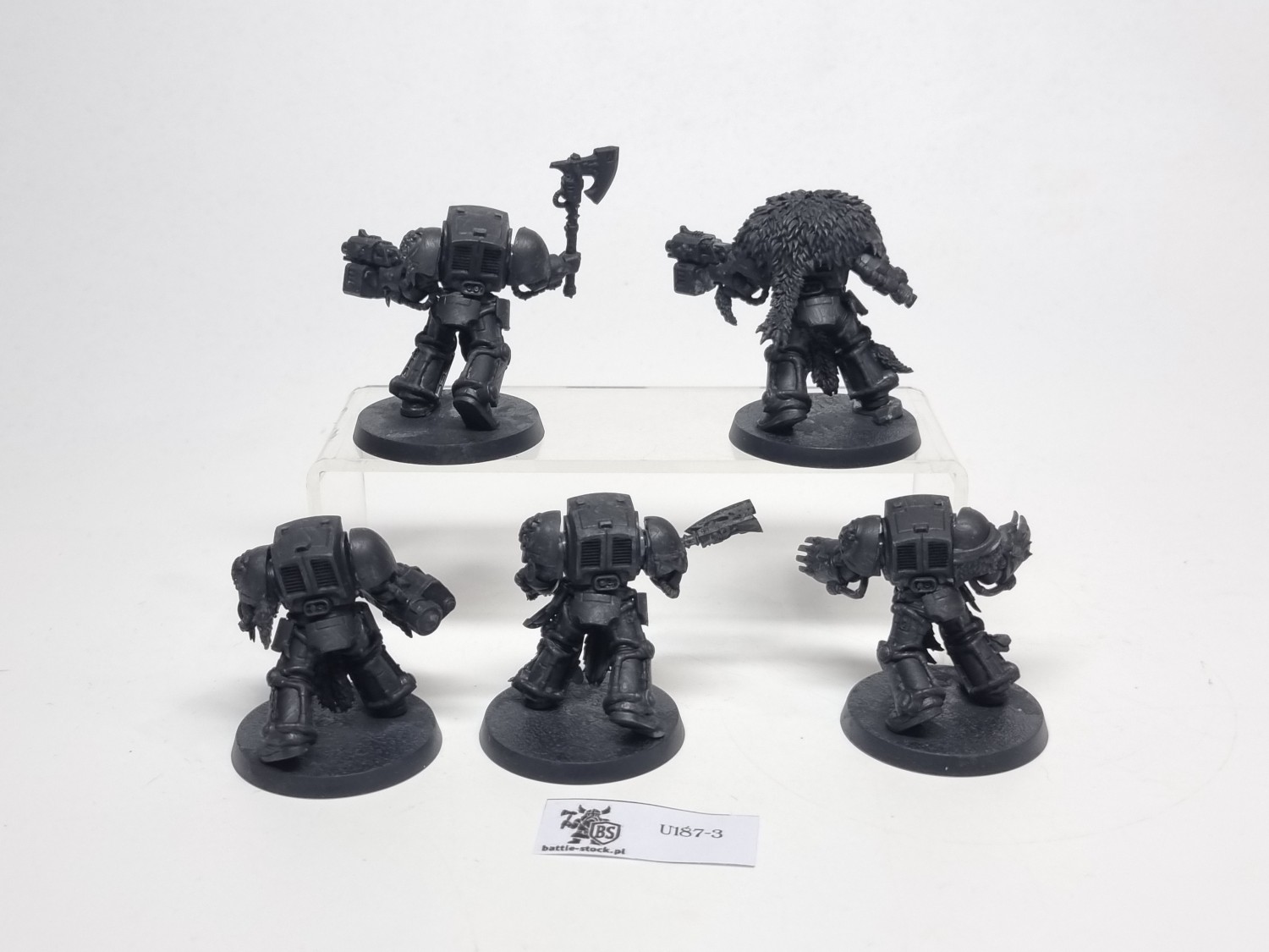 SW terminator zestaw