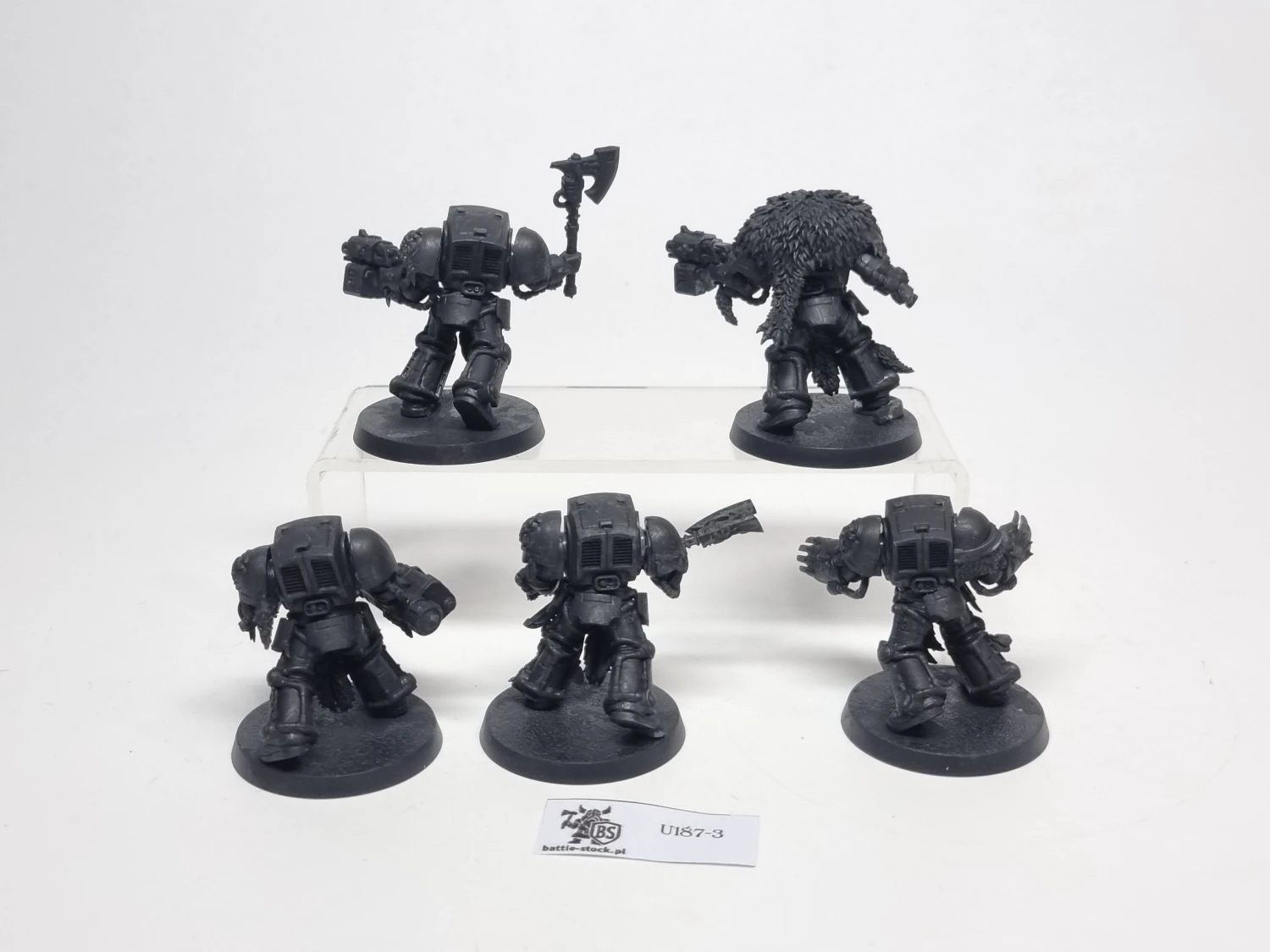 SW terminator zestaw