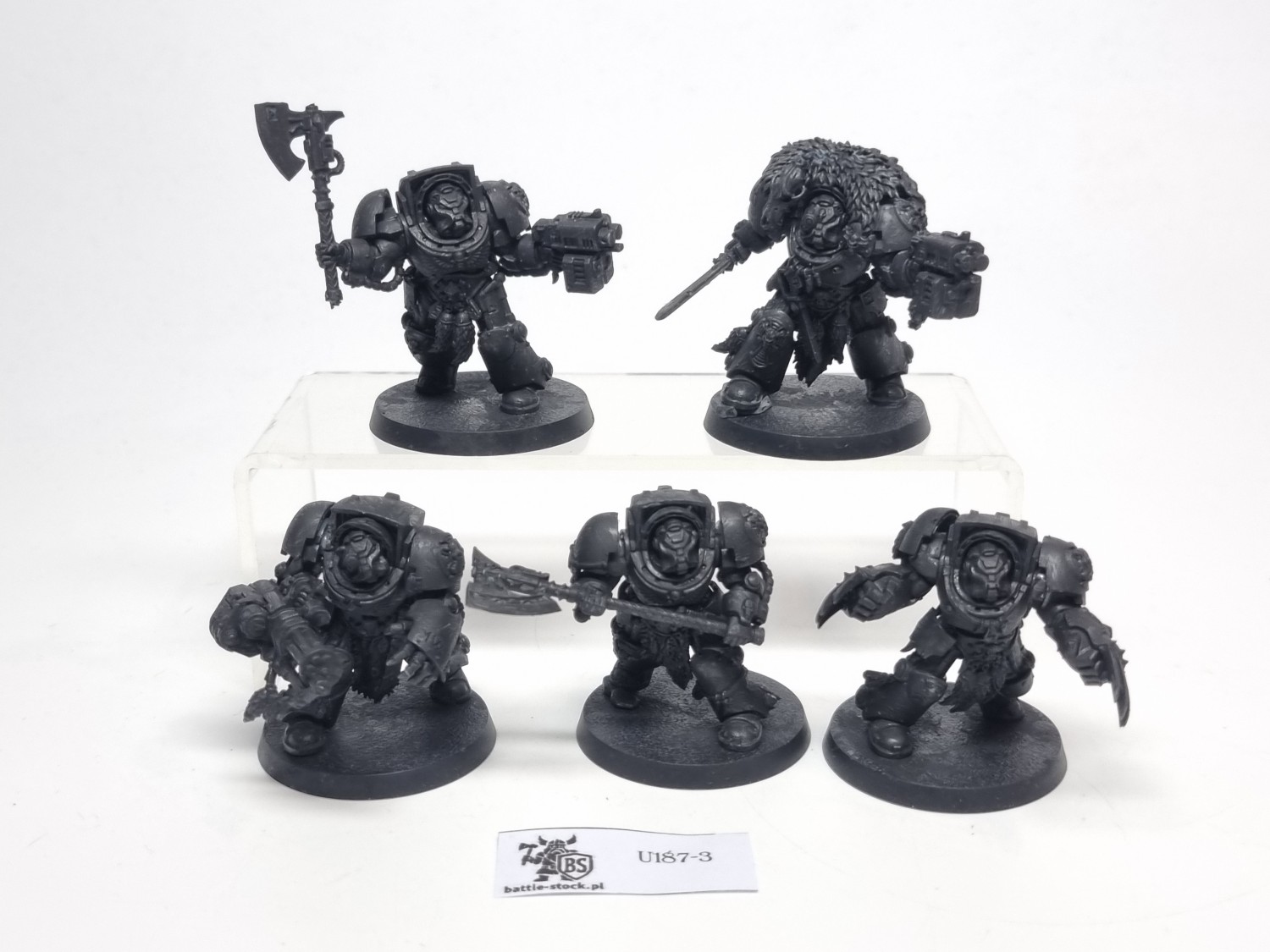 SW terminator zestaw