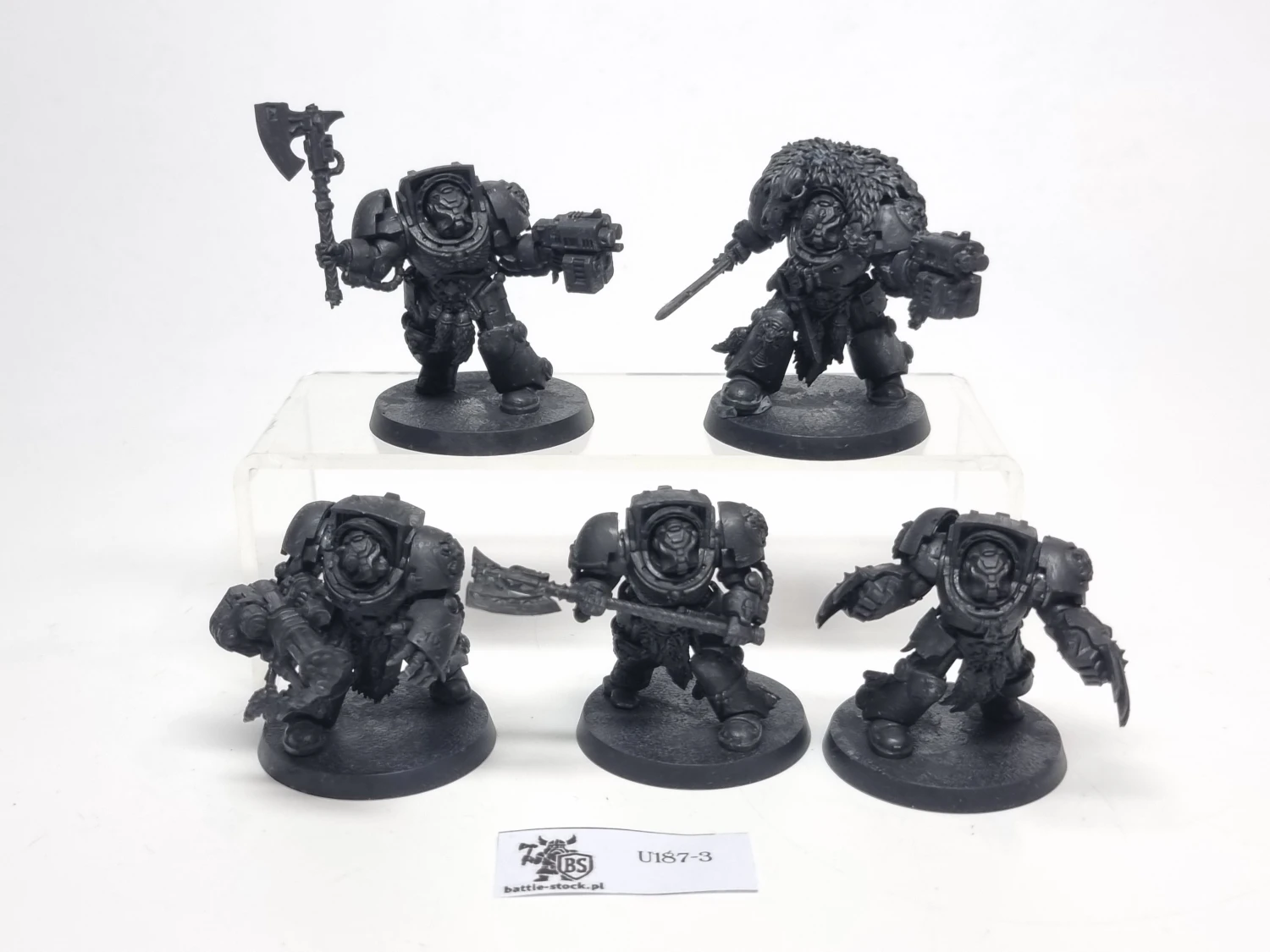 SW terminator zestaw