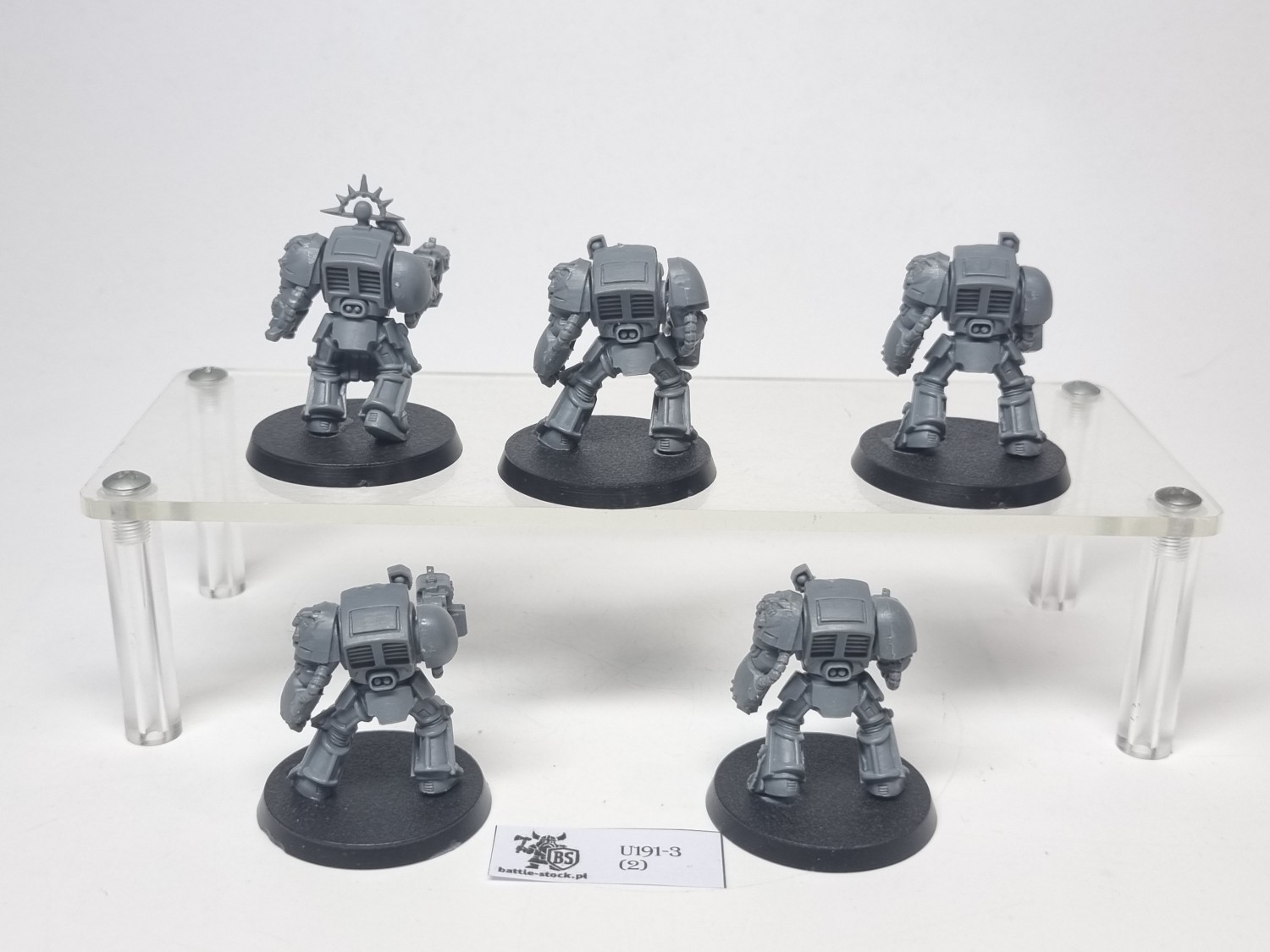 terminator squad