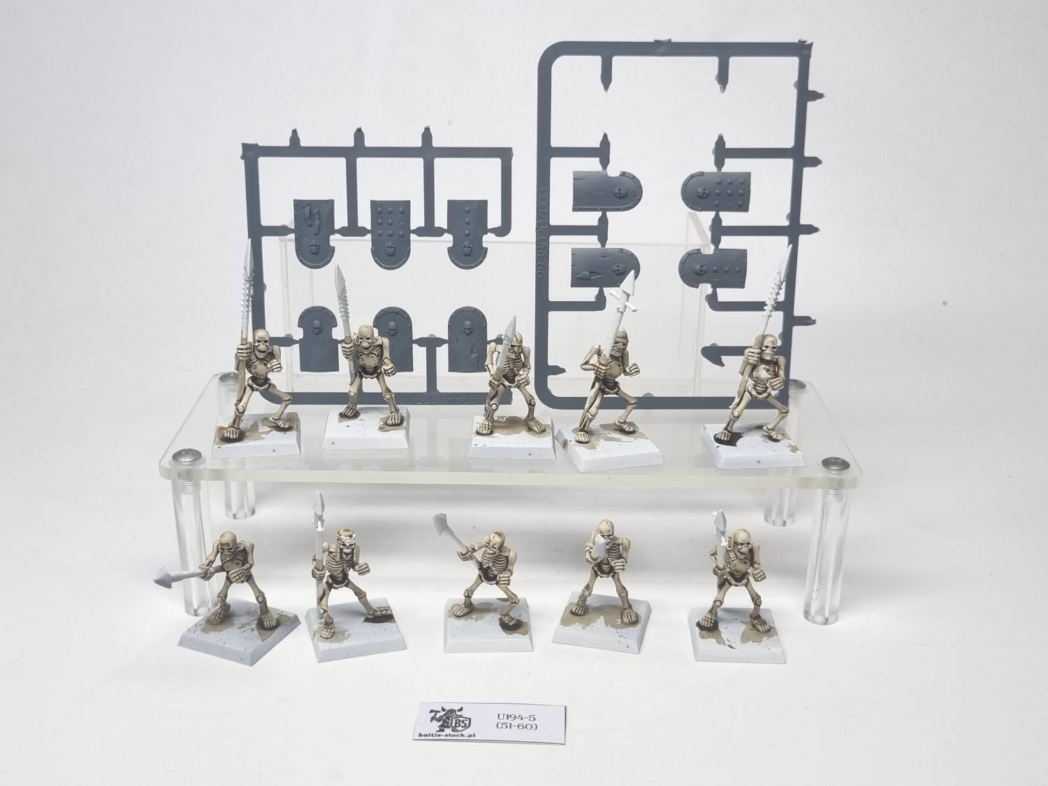 skeleton warriors