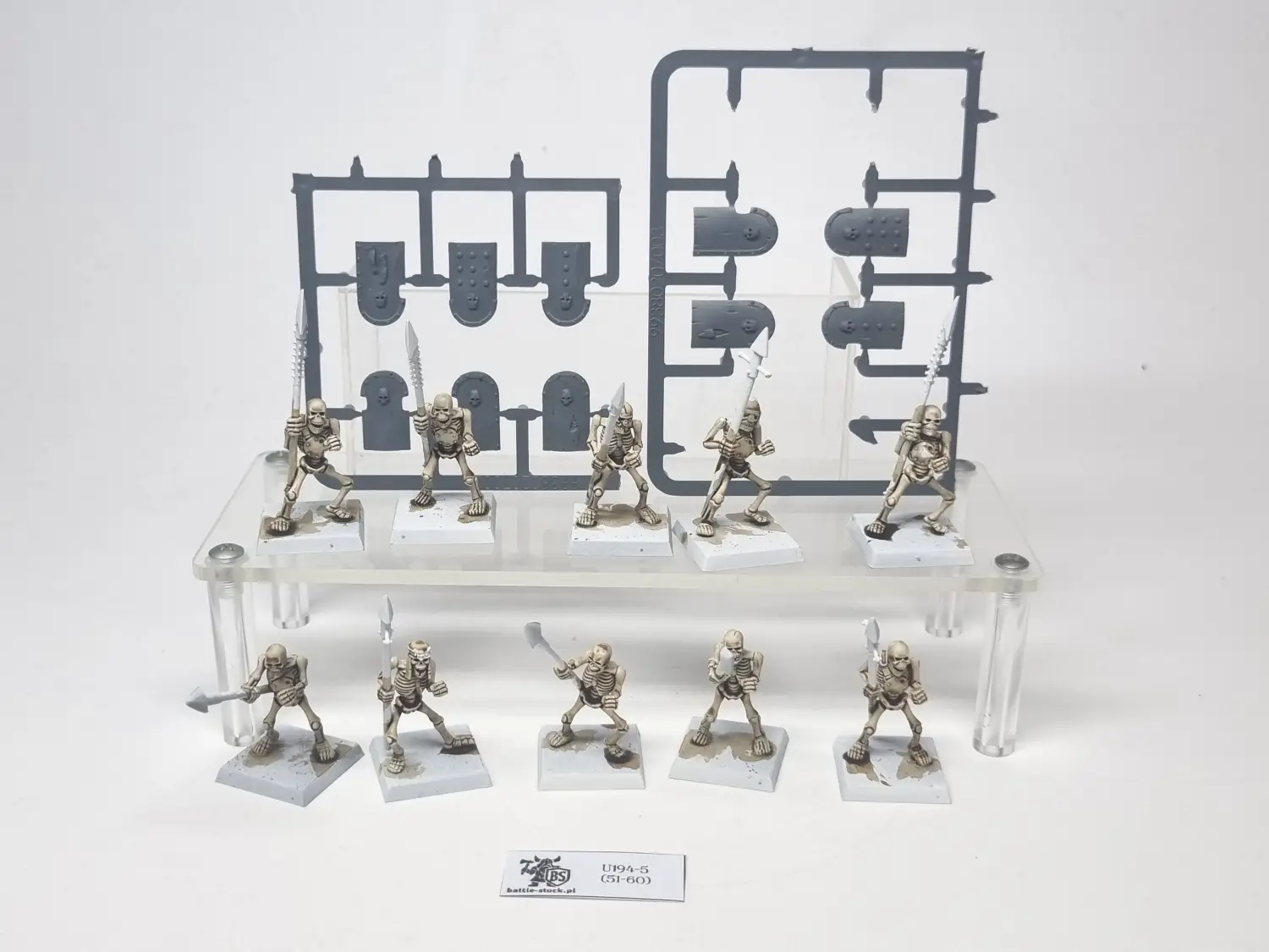 skeleton warriors