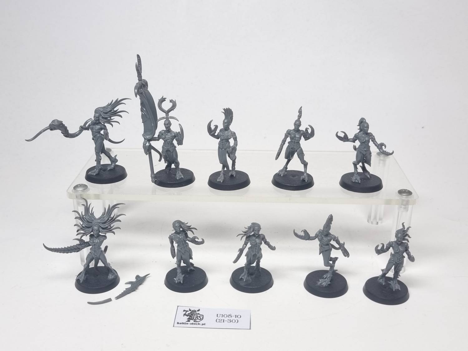 daemonettes of slaanesh
