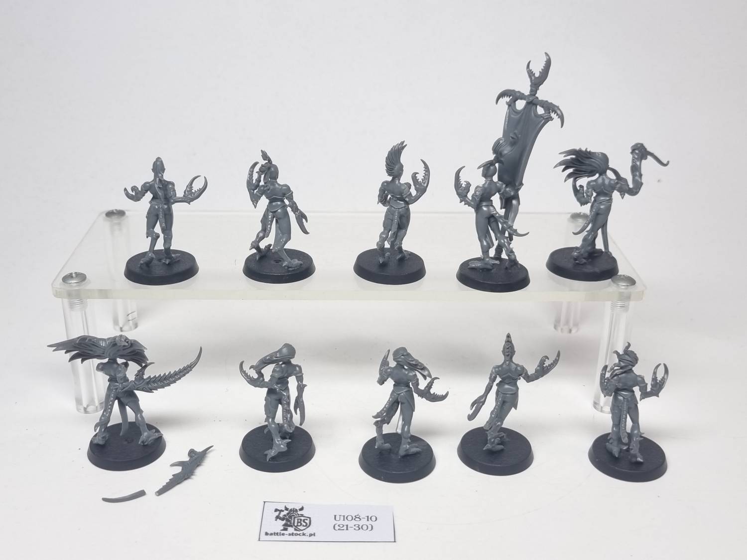 daemonettes of slaanesh