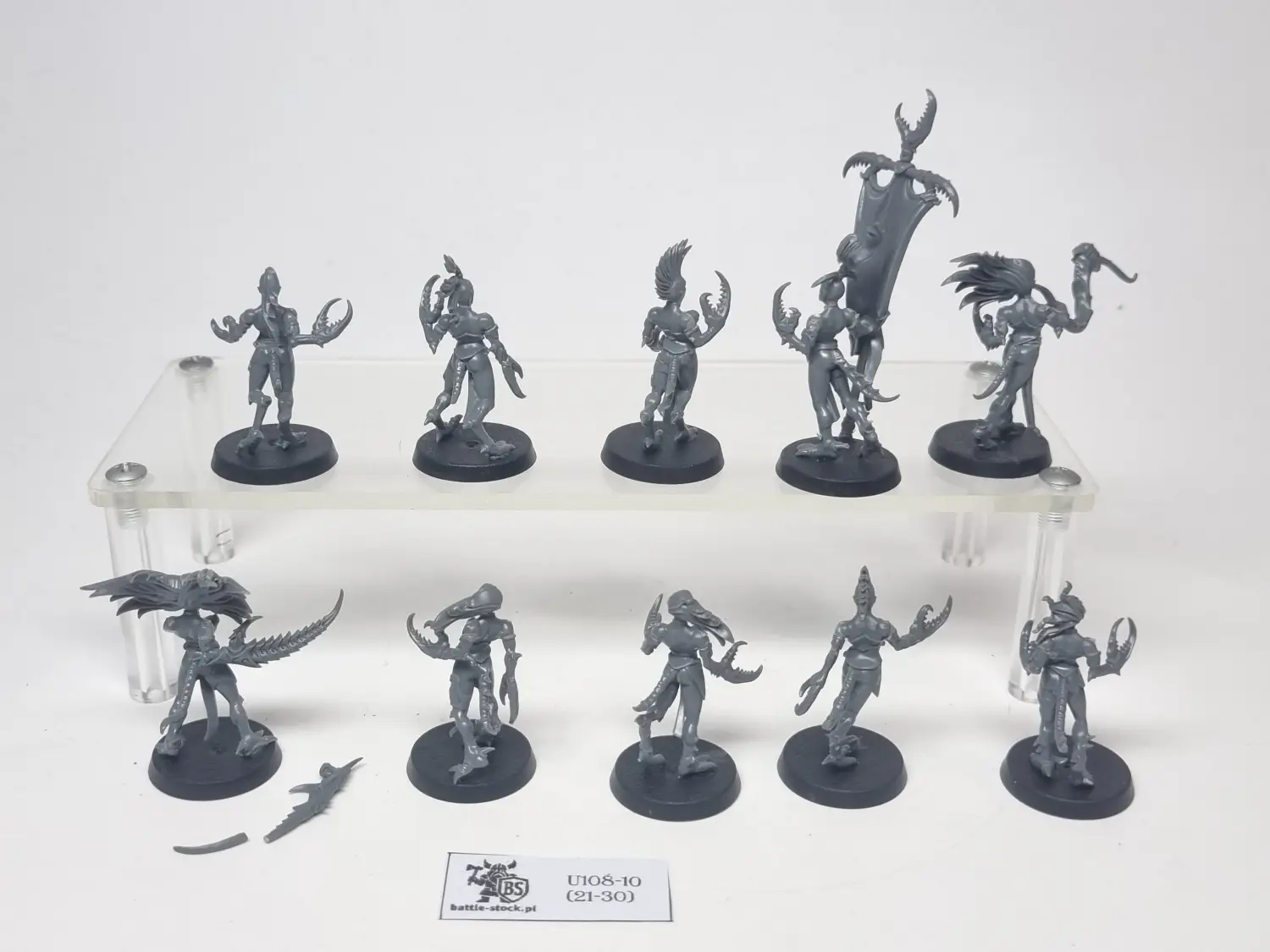 daemonettes of slaanesh