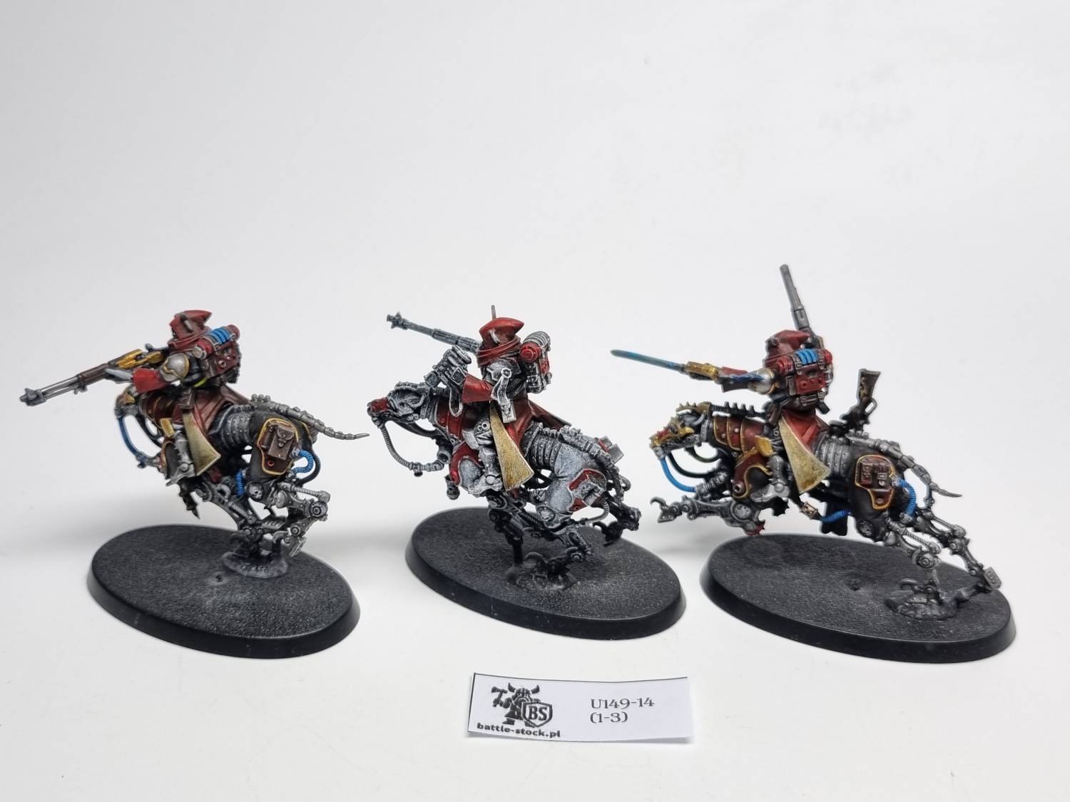 serberys Raiders