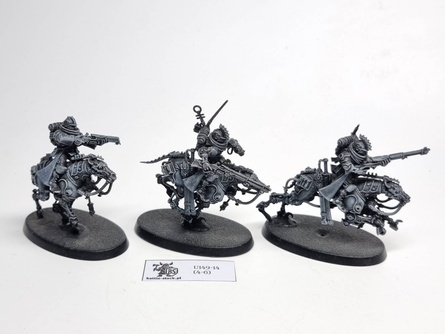 serberys Raiders