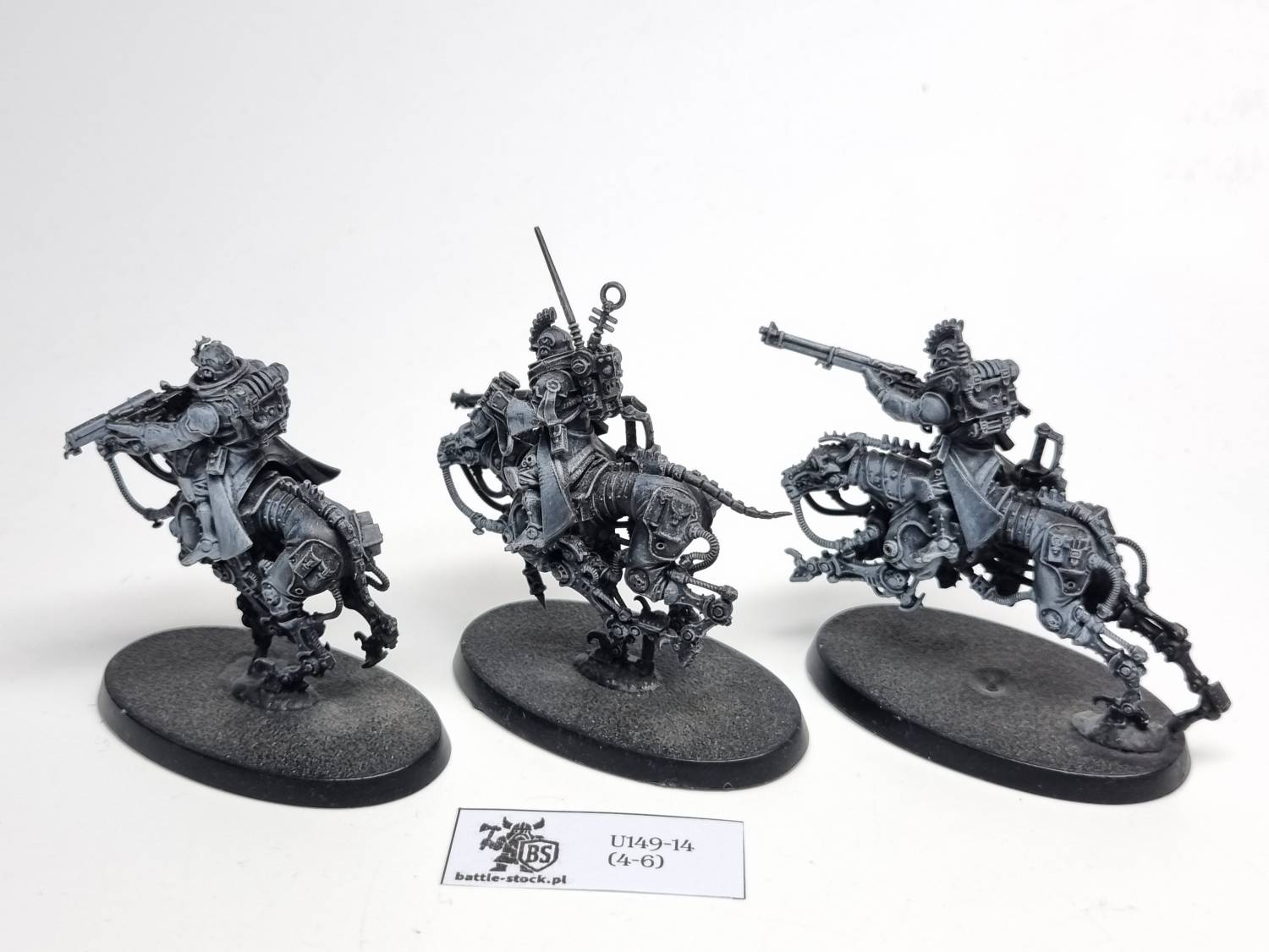 serberys Raiders
