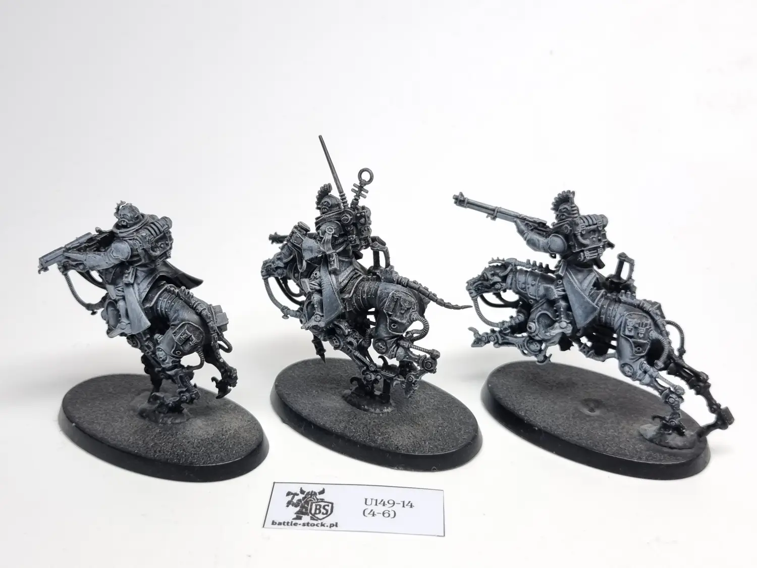 serberys Raiders