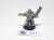 warzone model