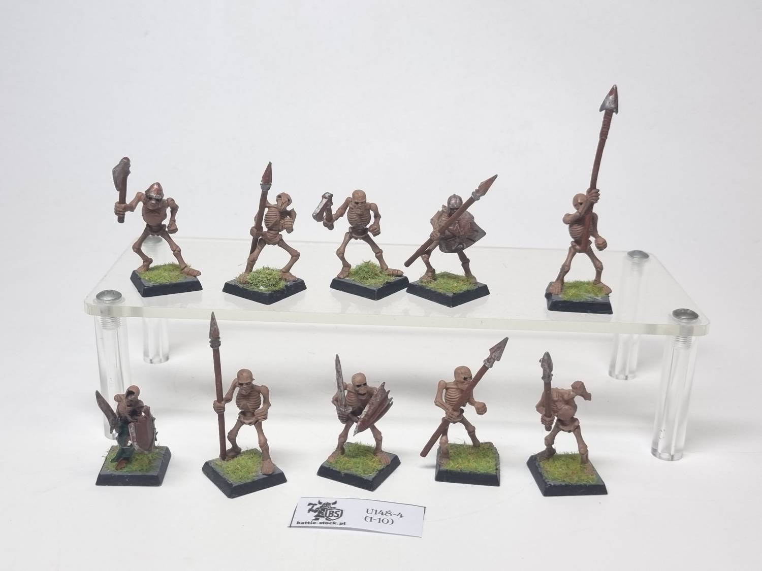 skeleton warriors