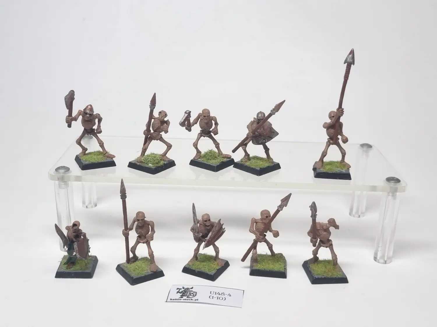 skeleton warriors
