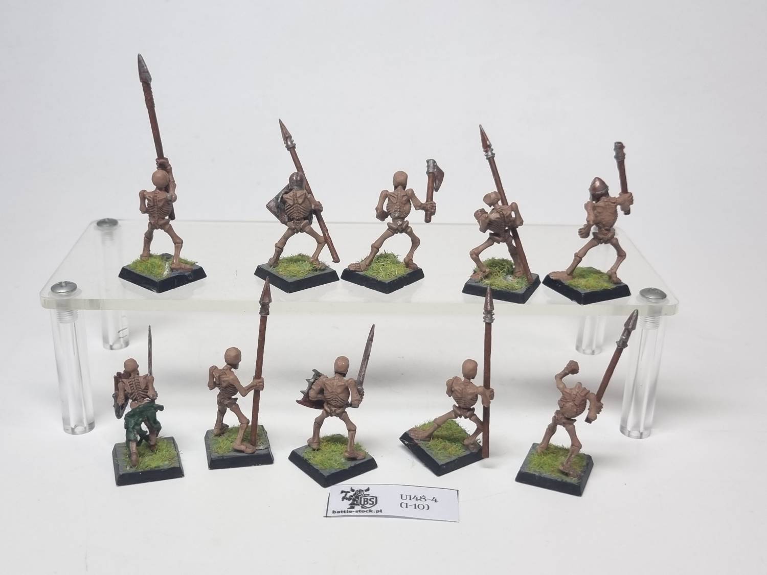 skeleton warriors