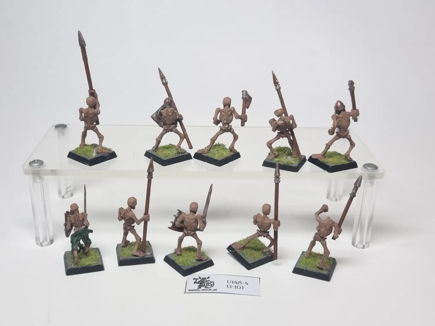 skeleton warriors